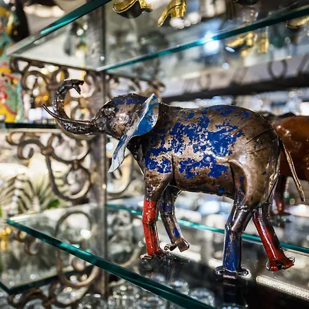 Safari House - B&B 3*