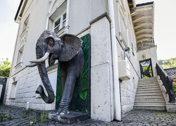 Safari House - Bed & Breakfast